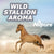 Nilco Nilpure Moisturising Fragranced Hand Sanitiser Wild Stallion with Pump Dispenser - 500ml